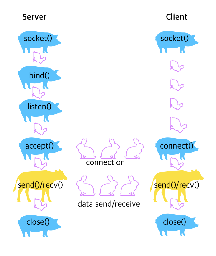 소켓 함수의 호출 순서